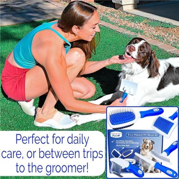 6 In 1 Premium Dog Brush Set - Dog Grooming Brushes - Ball Pin & Bristle Brush - Picture 3 of 7